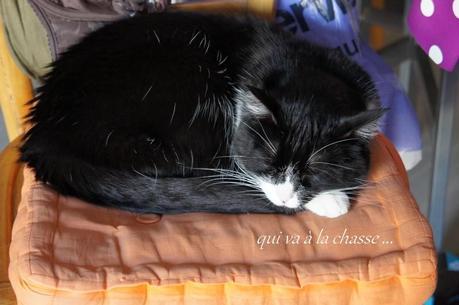 994. Cléo, jolie Cléo