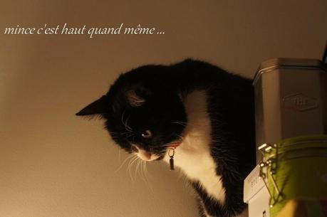 994. Cléo, jolie Cléo