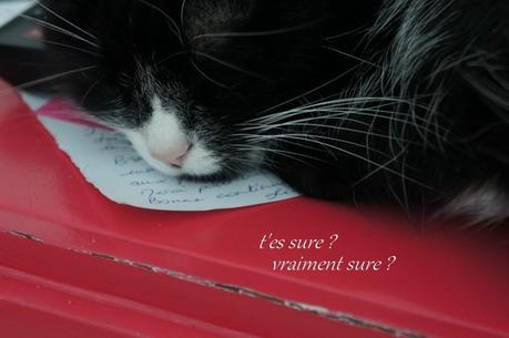 994. Cléo, jolie Cléo