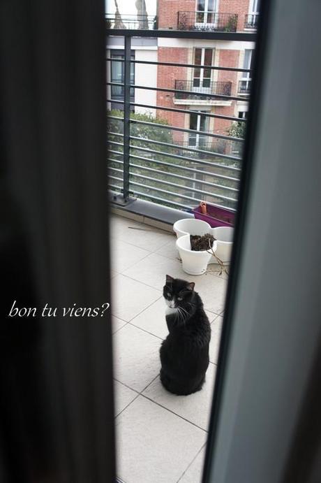 994. Cléo, jolie Cléo