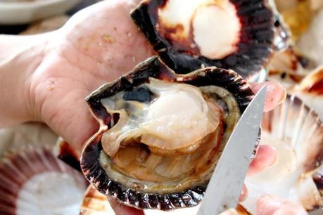 Cuisine de tous les jours