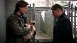 Sam caresse le chien pendant que Dean lui parle