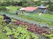 ‘Jardins Cocagne’, exemple réussi d’Economie Sociale Solidaire
