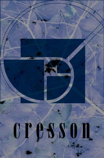 FORMATION - ARCHITECTURES SONORES - CRESSON GRENOBLE