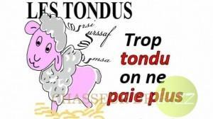 tondus charges patronales tondus charges patronales