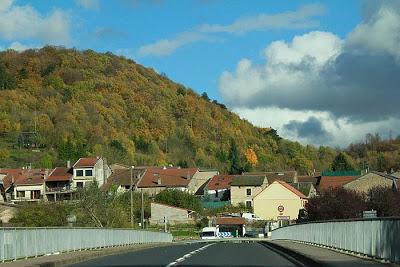 La D121 couleur forêt