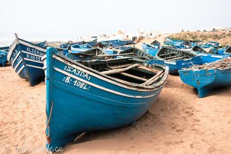 tifnit camel morocco fishing village