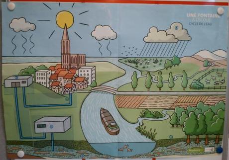Cycle_Eau_Strasbourg