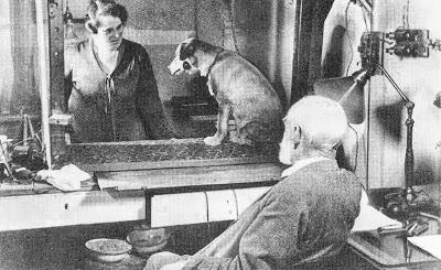 DÉCIDER EN FONCTION DE CE QUE L’ON A VÉCU