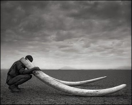 Nick Brandt