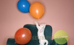 réseaux sociaux pour animaux