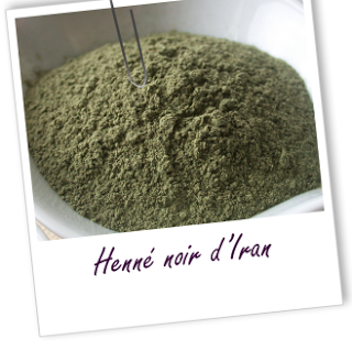 De nouveaux venus dans la boutique Vous allez être ravies! De nouveaux venus dans la boutique Vous allez être ravies!