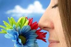 RESPIREZ-VOUS BIEN ? Les sinus