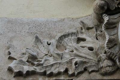 Qui s'y frotte s'y pique - chardon lorrain (327)