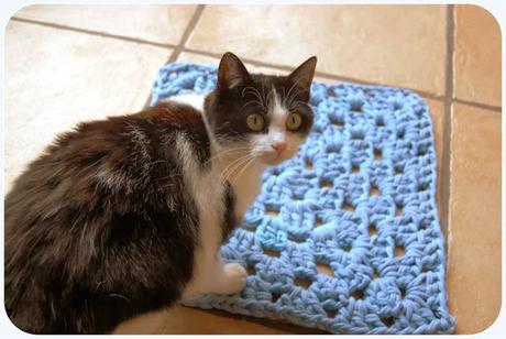 The sérial crocheteuses n°195