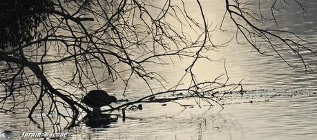 Scène-sur-le-Loiret