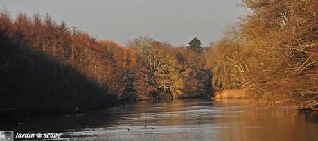 Le Loiret en habit automnal