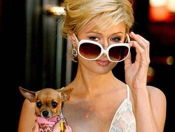 Les gueulardes du bus.