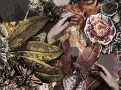 Illustration Sonore Bodies