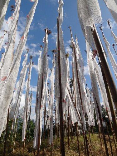 Champs de drapeaux blancs tibétains Inde_Sikkim_Himalaya_Tibet