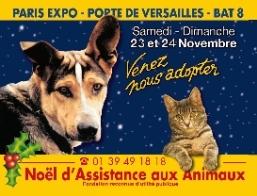 noel-assistance-aux-animaux-a3424