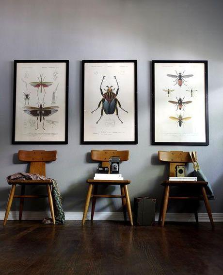 Idées déco : papillons, libellules et insectes sur le mur