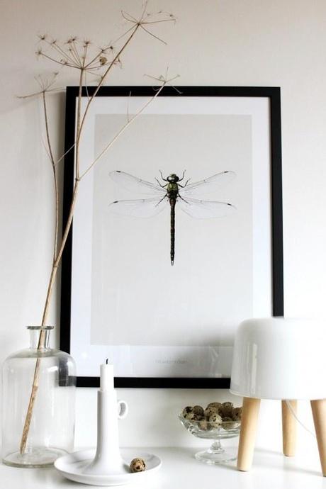 Idées déco : papillons, libellules et insectes sur le mur
