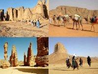 L’ONAT élabore un programme spécial pour relancer le tourisme saharien