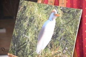 Vernissage au Noélis