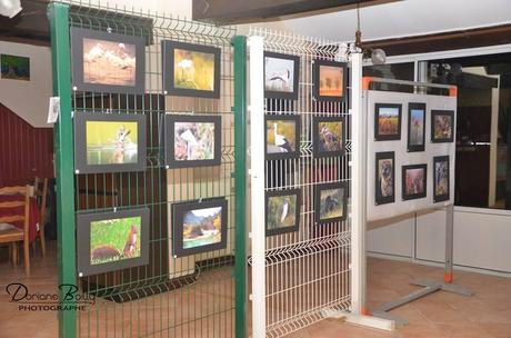 Vernissage au Noélis