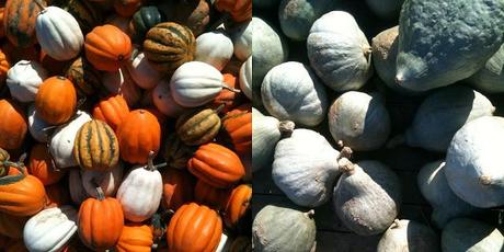 Quelques semaines de notre vie