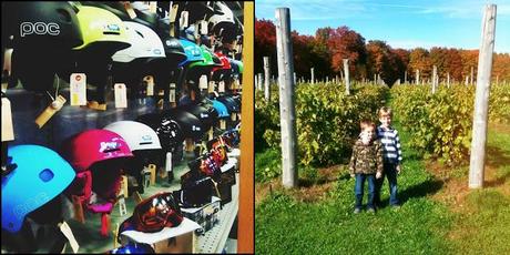 Quelques semaines de notre vie