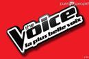 The Voice 3 : Une ex-starlette Disney passe les auditions incognito