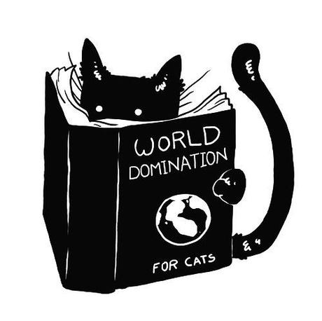 world domination 4 cats