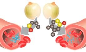 RISQUE CARDIAQUE: Un oignon à l'effet antiagrégant plaquettaire – Journal of Agricultural and Food Chemistry