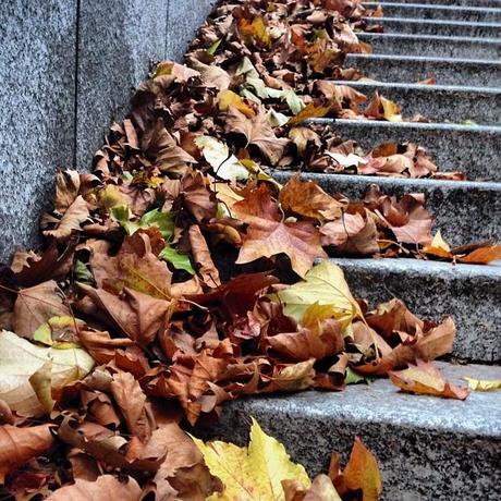 Ma semaine en mots et en photos instagram (106)