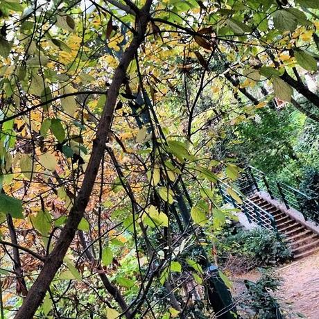 Ma semaine en mots et en photos instagram (106)