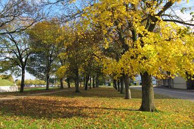 Toul : les couleurs des remparts