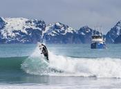 Surf Alaska