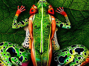 body painting Johannes Stoetter