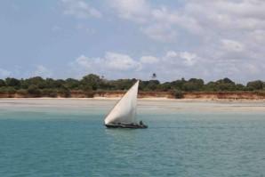 74 - 14 08 13 ZANZIBAR (3)