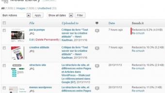 La vitesse du site – Walkcast Le référencement dans Google [68]