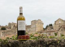 Saint Emilion en automne, c’est joli…