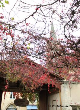 Saint Emilion en automne, c’est joli…