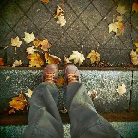 Fragments d'automne au Père-Lachaise