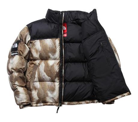 SUPREME X THE NORTH FACE – F/W 2013 CAPSULE COLLECTION