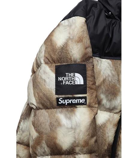 SUPREME X THE NORTH FACE – F/W 2013 CAPSULE COLLECTION