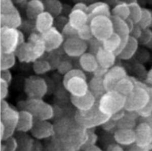INFERTILITÉ: Des nanoparticules pour rechercher les anomalies du sperme – Nanomedicine: Nanotechnology, Biology, and Medicine