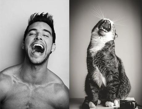 Des chats et des hommes