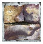 controle des citoyens